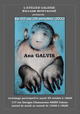 Affiche exposition Ana Galvis